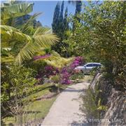 Doy clases particulares de fracés a una angoleña en Salamanca